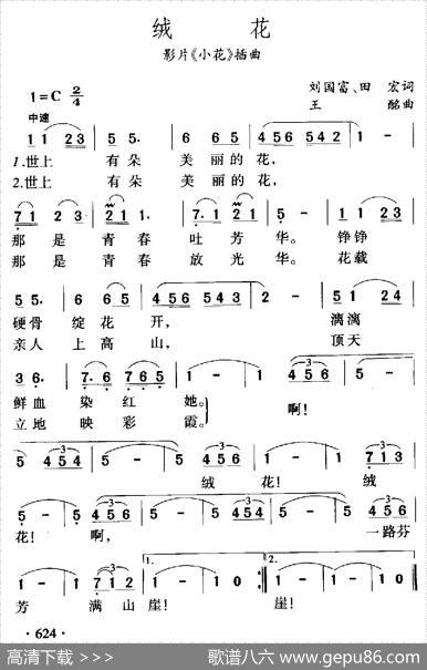 绒花 - 刘国富、田农|王酩