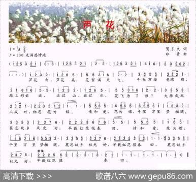 芦花（贺东久词印青曲） - 贺东久|印青