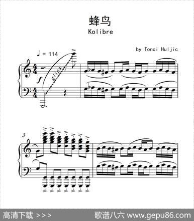 蜂鸟
