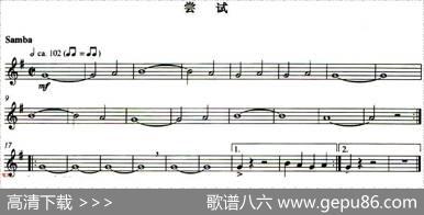尝试