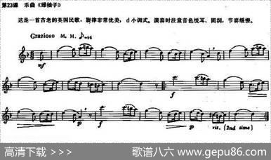 长笛练习曲100课之第23课（乐曲《绿柚子》d小调式）