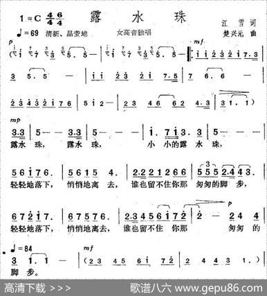 露水珠 - 江雪|楚兴元