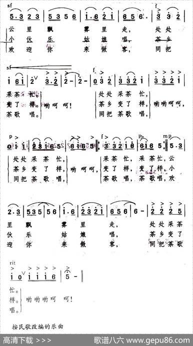 茶乡歌 - 嘉琪承荣|余隆禧
