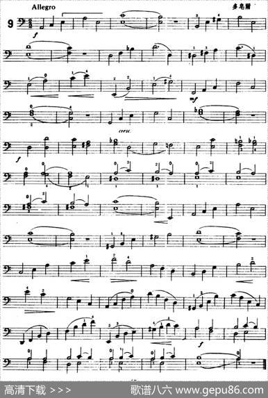 鲍斯特列姆大提琴练习曲（9-13）