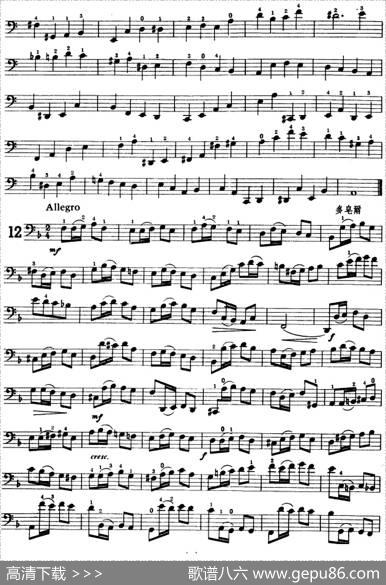 鲍斯特列姆大提琴练习曲（9-13）