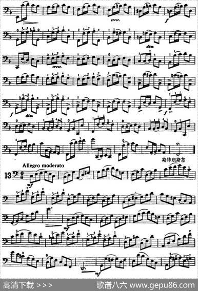 鲍斯特列姆大提琴练习曲（9-13）