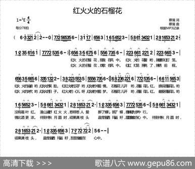 红火火的石榴花 - 蔡强|蔡强