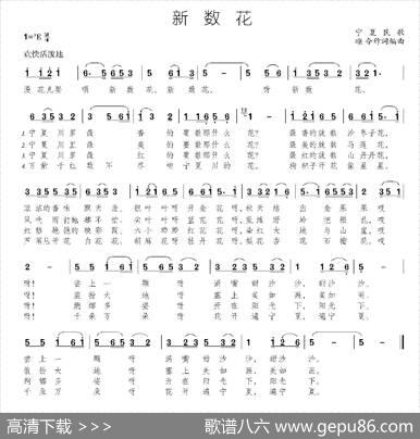 新数花|宁夏民歌、颂今作词编曲