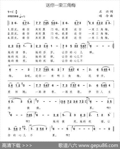 送你一束三角梅 - 正兴|颂今
