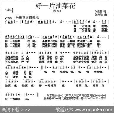 好一片油菜花（刘志毅词张朱论曲） - 刘志毅|张朱论