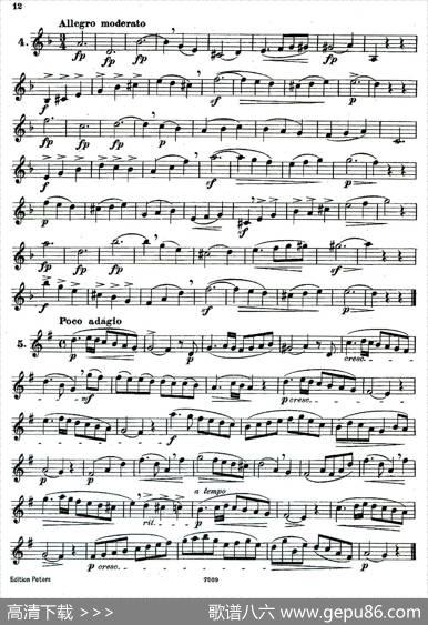 DEMNITZ（单簧管练习曲）