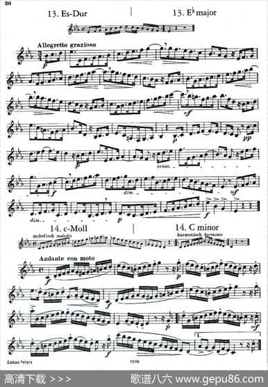 DEMNITZ（单簧管练习曲）