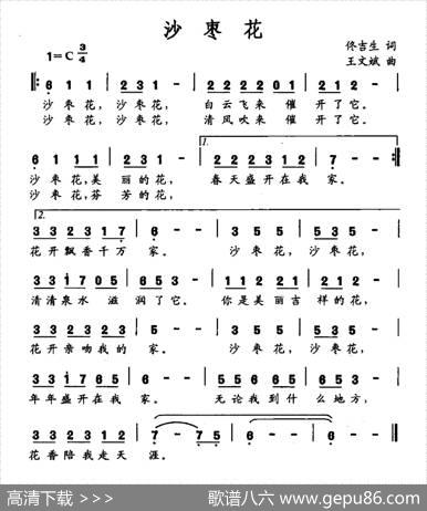 沙枣 - 佟吉生|王文斌