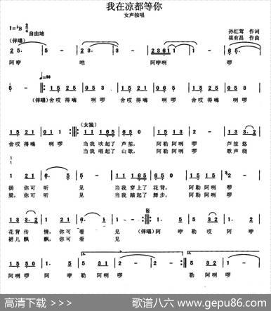 我在凉都等你 - 孙红莺|崔有昌