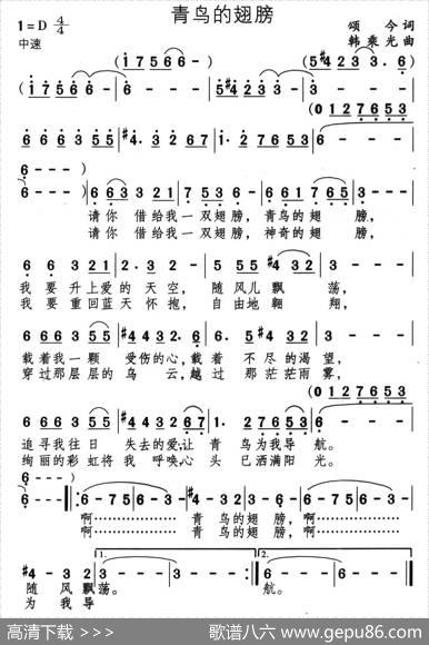 青鸟的翅膀 - 颂今|韩乘光