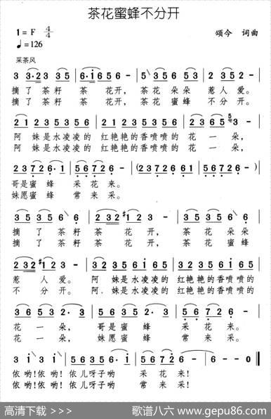 茶花蜜蜂不分开 - 颂今|颂今
