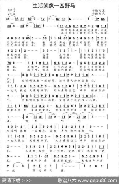 生活就像一匹野马 - 天夏|南风