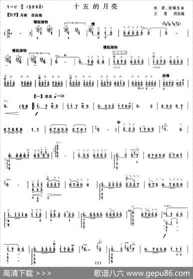柳琴考级曲目六级：十五的月亮|王惠然改编