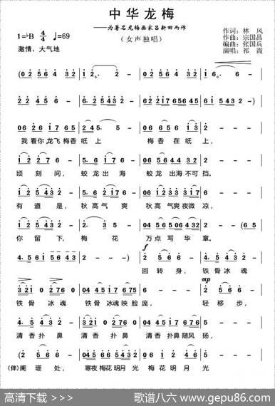 中华龙梅 - 林风|宗国昌