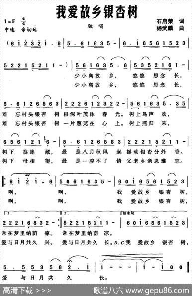 我爱故乡银杏树 - 石启荣|杨武麟