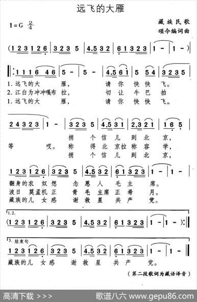 远飞的大雁（藏族民歌、颂今编词曲）|颂今