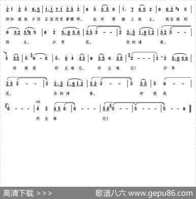沙枣花飘香的地方（何建华词颂今曲） - 何建华|颂今