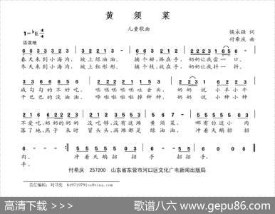 黄须菜 - 侯永强|付希庆