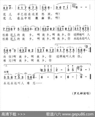 杜鹃花的故乡 - 颂今|颂今