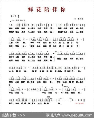 鲜花陪伴你 - 刁寒|刁寒