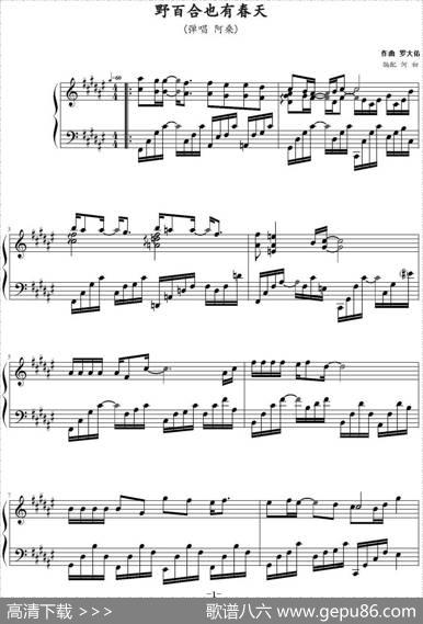野百合也有春天（何初编配版）|罗大佑作曲何初编配