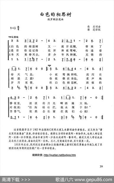 白色的相思树|俄罗斯浪漫曲