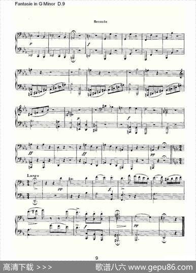 FantasieinGMinorD.9（G小调幻想曲D.9）
