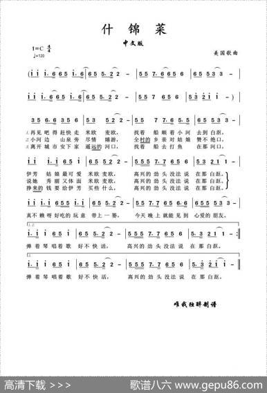 [美]什锦菜（中文歌词）|卡伦.卡朋特