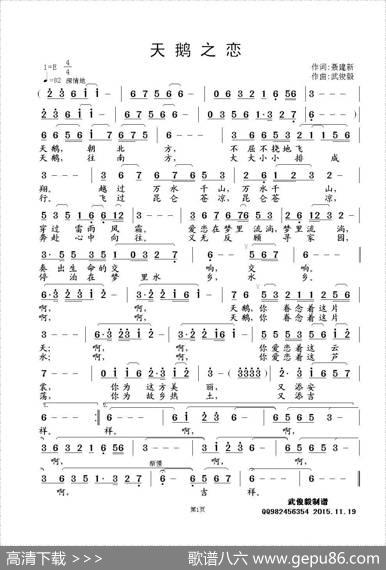 天鹅之恋（聂建新词武俊毅曲） - 聂建新|武俊毅