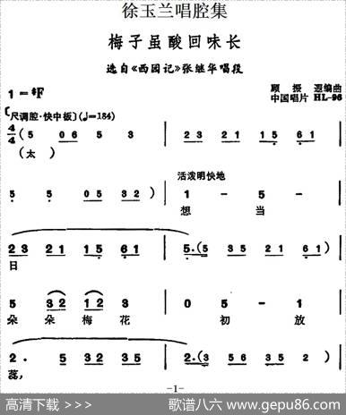 徐玉兰唱腔集：梅子虽酸回味长（选自《西园记》张继华唱段）