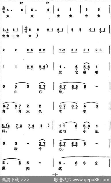 徐玉兰唱腔集：梅子虽酸回味长（选自《西园记》张继华唱段）