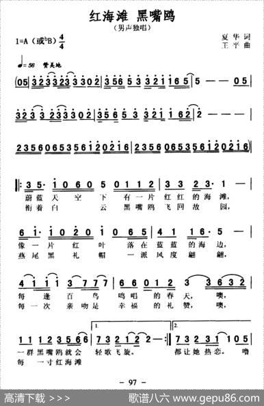红海滩黑嘴鸥 - 夏华|王平