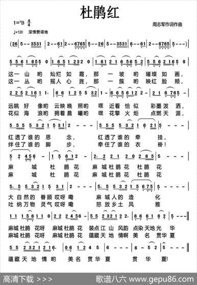 杜鹃红 - 周志军|周志军