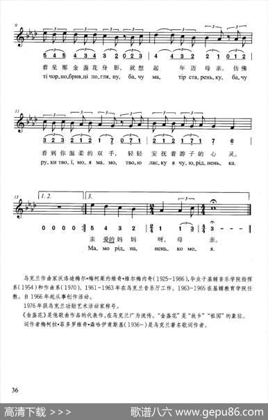 金盏花