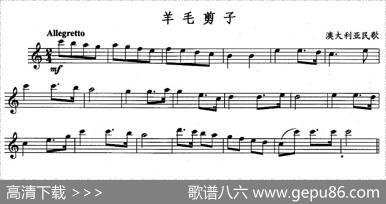 羊毛剪子