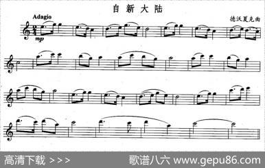 自新大陆