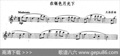 在银色月光下|王洛宾