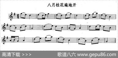 八月桂花遍地开