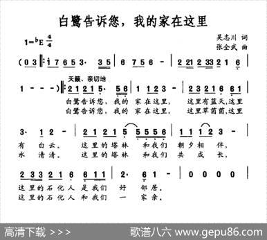 白鹭告诉您，我的家在这里 - 吴志川|张全武