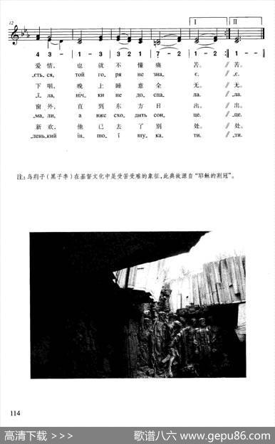 乌荆子花开