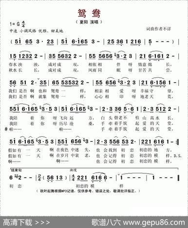 鸳鸯
