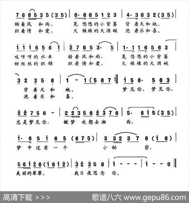 做梦也想去湘西（金沙词龚耀年曲） - 金沙|龚耀年