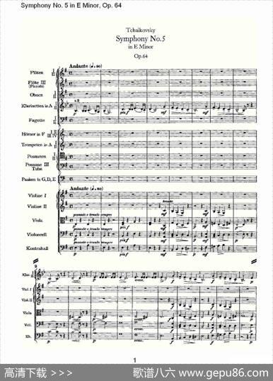 SymphonyNo.5inEMinor,Op.64（E小调第五交响曲Op.64第一）