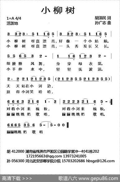 小柳树 - 胡泽民|孙广志