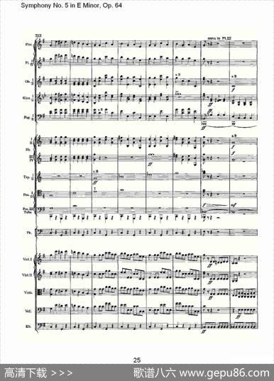 SymphonyNo.5inEMinor,Op.64（E小调第五交响曲Op.64第四）